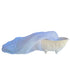 African Net Sponge