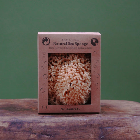 St. Gabriel Sea Sponge Large