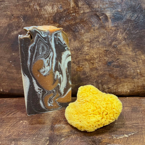 Caribbean Fiber Sponge